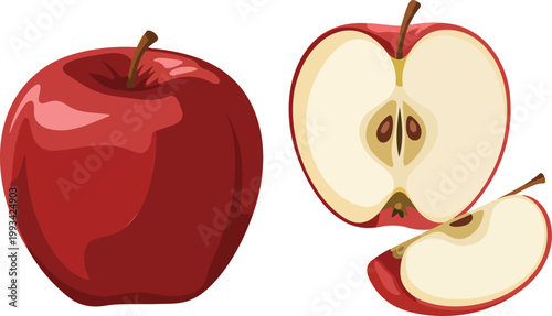 Digital illustration of red apple in whole and cross-sectional views showing interior flesh seeds and core design
