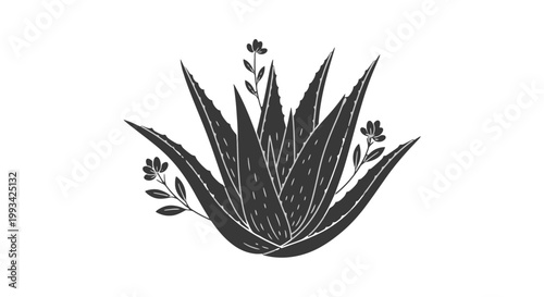 Aloe Vera Plant with Leaves and Flowers.