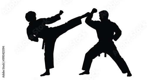Two martial artists practicing a dynamic kick in a striking pose silhouette