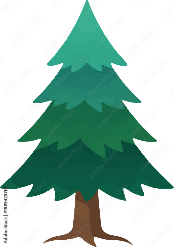 Fototapeta premium Evergreen Pine Tree Illustration - Christmas Fir Tree Vector