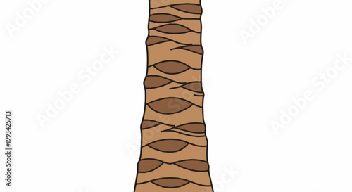 Simple illustration of a textured brown tree trunk with dark outlines, showing stacked segments