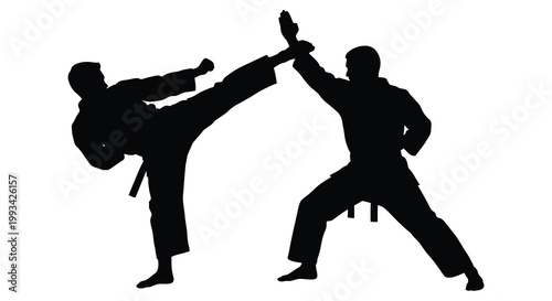 Two martial artists practicing a kick and block dynamic pose silhouette