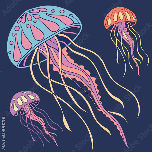 jellyfish in the sea