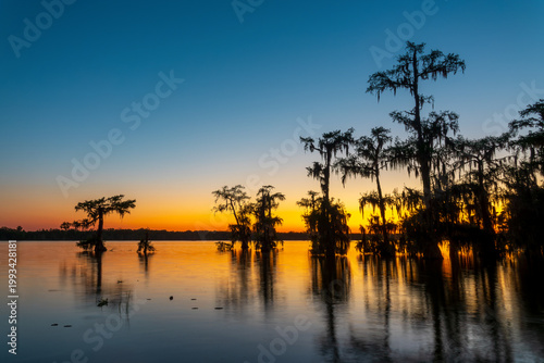 Foto Lake Martin at Cypress Island Preserve, Cypress swamp scenic landscape with refl