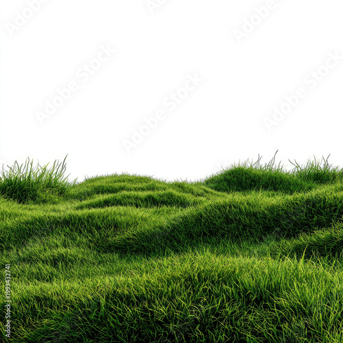 Green grass field meadow with fresh vibrant blades