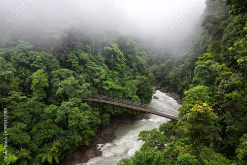 Suspension Bridge Above River in Dense Forest During Morning Fog in Tropical ...