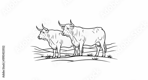 Two cattle with horns stand in a simple landscape, outlined in black