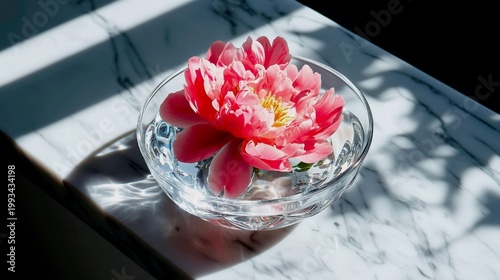 A single, perfect fuchsia peony floats in a crystal-clear glass bowl filled with pure water, placed on a simple marble windowsill
