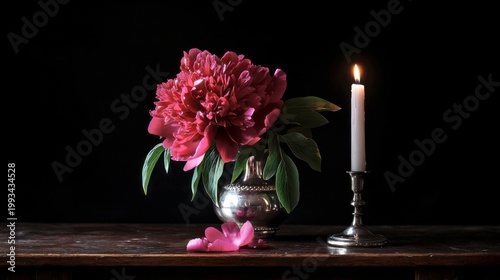A dramatic and atmospheric still life reminiscent of Old Master paintings. A single, deep red peony, slightly past its prime with wilting outer petals