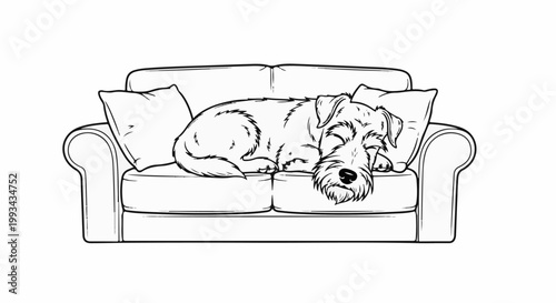 A scruffy dog sleeps peacefully on a sofa with two pillows