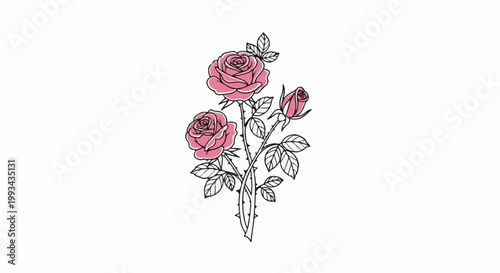 Detailed illustration of a pink rose bouquet with leaves and thorns