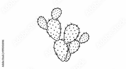 A simple, hand-drawn sketch of a prickly pear cactus with dots and spines