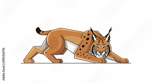 A stylized lynx is depicted in a low stalking pose on a white background