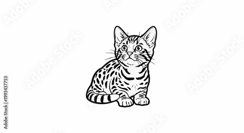 Playful kitten with spotted fur sits attentively, looking upwards