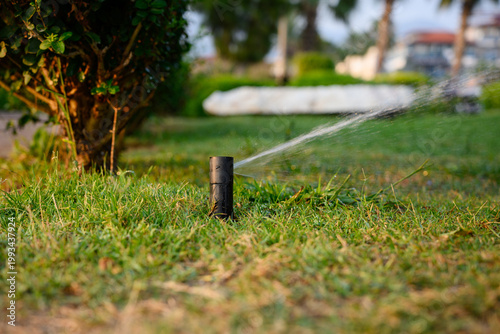 Automatic lawn sprinkler system watering in garden at sunset. Smart irrigation and garden maintenance concept. Modern pop-up water sprayer, outdoor landscaping, professional irrigation, lawn care