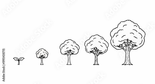Progression of a plant's growth, from seedling to mature tree, depicted in stages