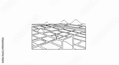 Line drawing of a flamingo in a grid of salt evaporation ponds