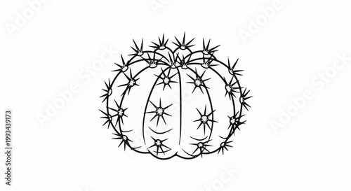 Line art of a round, spiky cactus on a white background