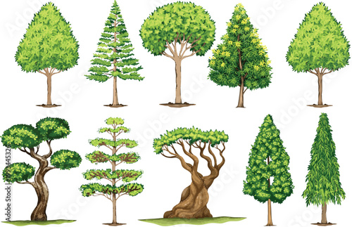 Detailed assortment of decorative garden trees with unique trunk shapes and lush leafy canopies.