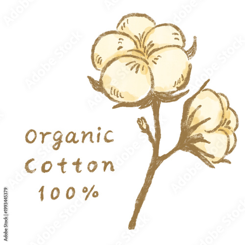 Simple crayon-textured organic cotton flower icon / 素朴なクレパス質感のオーガニックコットン綿花アイコン