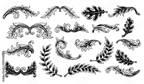 A collection of elegant black and white leaf illustrations and flourishes