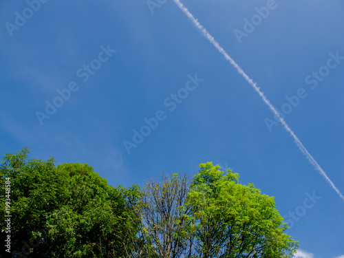 plane in the sky over the forest