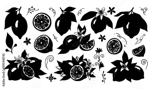 A set of black silhouettes of citrus fruits and leaves on a white background