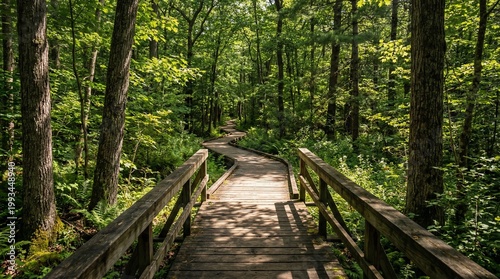 Wooden boardwalk path through a lush green sunlit forest, dappled light, nature walkway