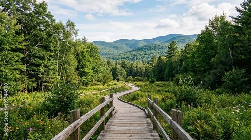 Wooden boardwalk path winding through lush green forest and rolling hills under a cloudy sky.