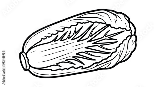 Simple black and white line drawing of a whole napa cabbage showing the texture and leaf structure for vegetable or farm themes.
