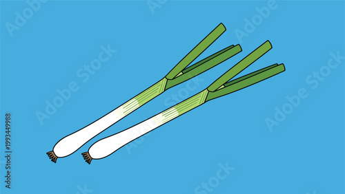Two fresh green onions or leeks with white bulbs and long green stalks diagonally positioned on a vibrant blue background.
