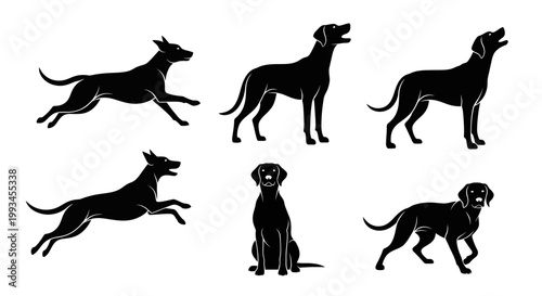 Set of Black Dog Silhouettes in Various Poses and Actions
