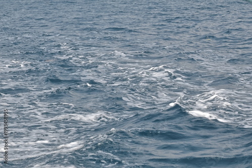 Photos Cerulean Churn
A candid snapshot of the open sea in motion, where deep navy swells collide to create a textured tapestry of whitecaps and sea foam
