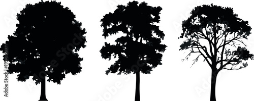 Street tree silhouettes for city landscape and park planning