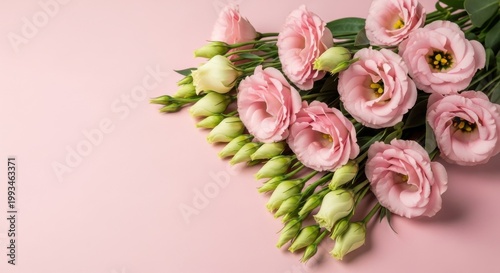 Elegant pink eustoma flowers on pastel background, fresh lisianthus bouquet with green buds, romantic floral arrangement for wedding greeting card