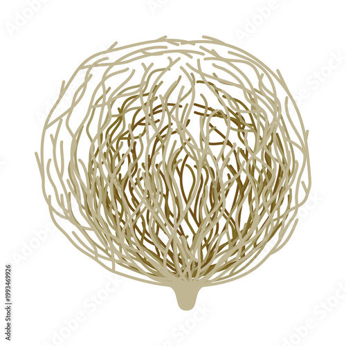 Vector illustration of a cartoon tumbleweed depicting a round shape with many dry branches on a white background