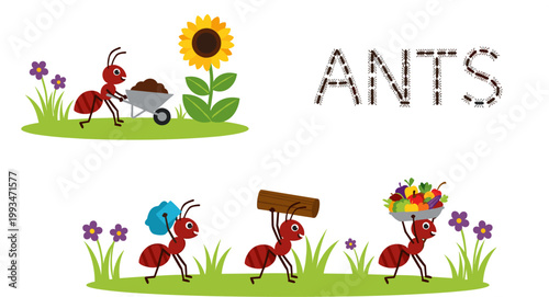 Cute Cartoon Working Ant Character Carrying Food Log and Wheelbarrow in Garden Sunflower Vector Illustration Set for Nature Design