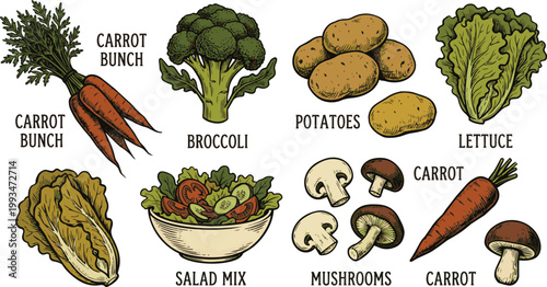 Hand-drawn collection of fresh vegetables and salad