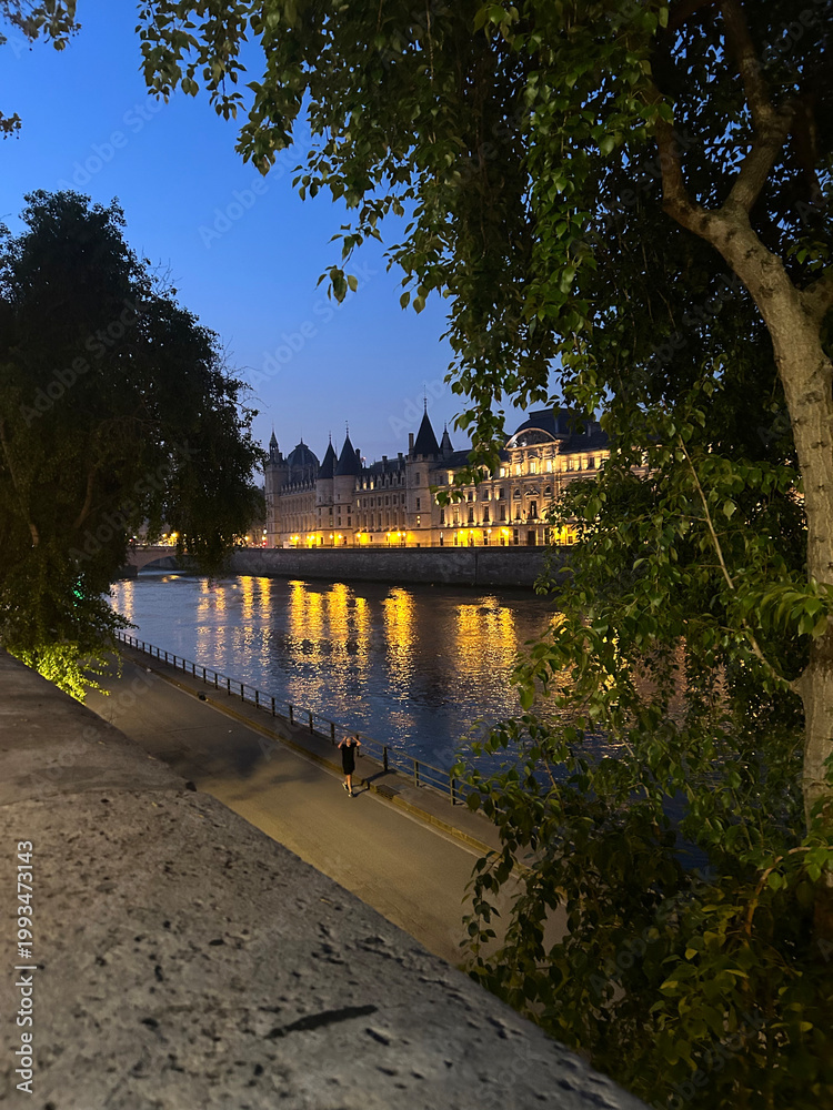 Fototapeta premium Golden sunrise light over the Seine river and Paris bridges, France