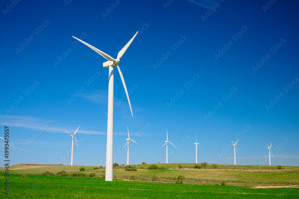 Fototapeta premium Windmills for renewable electrical energy production