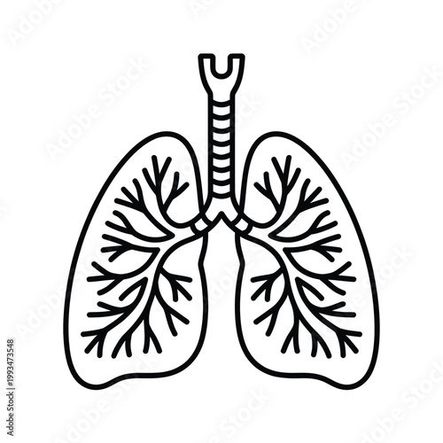 Simple line drawing illustrates the anatomy of human lungs and trachea