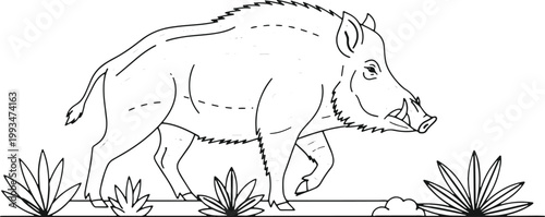 Wild boar walking through foliage, animal in natural habitat, forest creature.