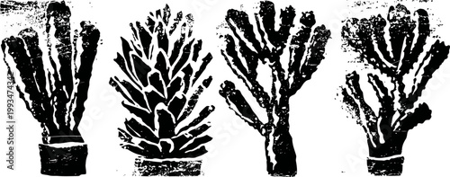 Four different hand drawn cactus silhouettes in black and white on white background