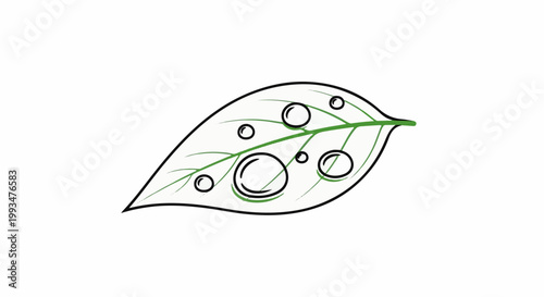 Stylized outline of a leaf with dew drops and vein details