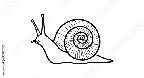 A stylized black and white outline drawing of a snail with a spiraled shell