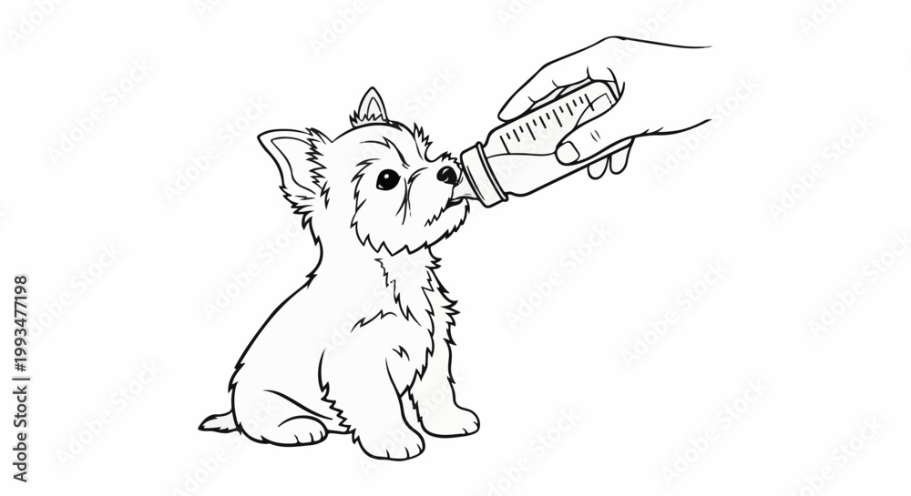 Fototapeta premium Adorable puppy being fed from a bottle by a hand