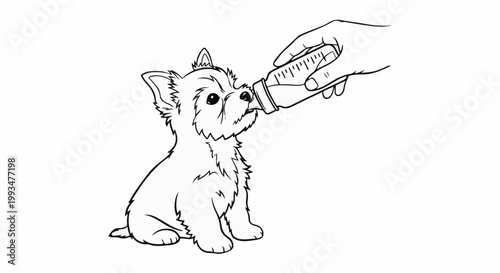 Adorable puppy being fed from a bottle by a hand