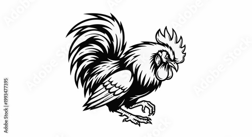 A black and white illustration of a proud rooster with elaborate tail feathers