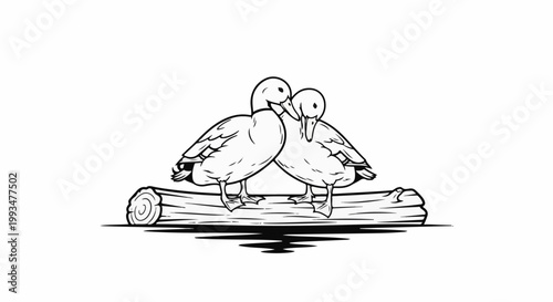 Two ducks resting closely on a log, appearing to be sharing a moment