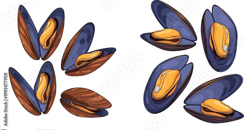 Mussel Shell Seafood Vector Set with Open and Closed Blue Mussels for Fresh Ocean Food, Marine Cuisine, Restaurant Menu, and Coastal Illustration Design